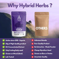 Hybrid Herbs HYBRID HERBS – Organic Wild Chaga Mushroom Powder 10X Strength - Supplement for Energy, Skin & Brain Support Rich in Antioxidants & Beta Glucans | HIGH Potency 10:1 Extract - 56 Serving (56g)