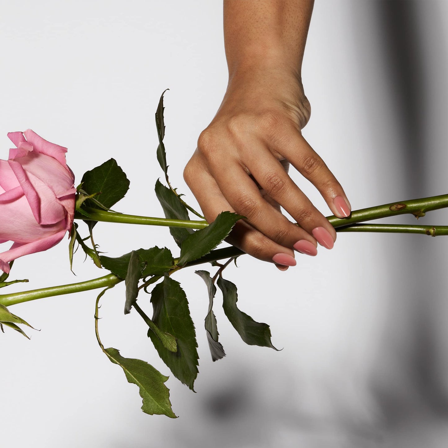 Mylee 5 in 1 Builder Base Strengthening Gel 15ml, UV/LED Nail Polish Coat for Hard Strong Nails Tips & Extensions, For Nail Art Decoration, Decals & Jewels, Professional Manicure Repair (French Rose)