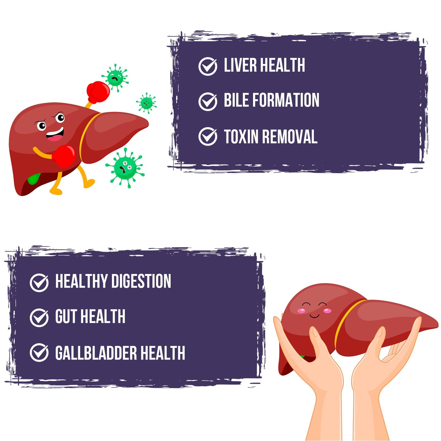 P!nkTribe TUDCA 500 mg, Tauroursodeoxycholic Acid with Humic and Fulvic Acids, Beet Root and Additional Botanicals, Bile Salt Supplement for Liver and Digestive Support, 60 Capsules