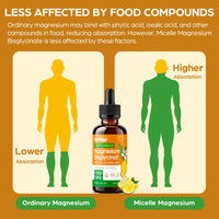 Gaelikine Magnesium Bisglycinate Drops 1000mg, Lemon Flavour, Vegan, 60ml