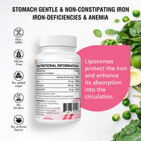 Liposomal Iron Supplement (as Ferrous Sulfate) with Folic Acid 400mcg and Vitamin B12 10mcg, Increase Iron Levels for Adults, Superior Absorbed and Stomach Friendly (60 Count (Pack of 2))