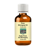 DEVPRAYAG Devprayag Pure Bhringraj Oil (Eclipta alba) Natural Therapeutic Grade 5ml (0.16 oz)