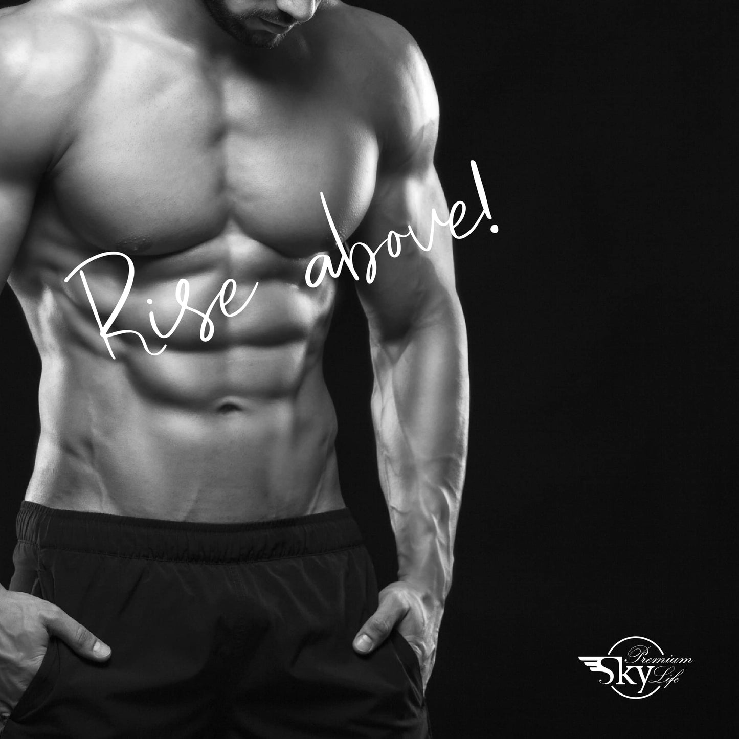 Sky Premium Life Vitamin B Complex with Vitamins B1, B2, B3, B5, B6, B12, Folic Acid & Biotin - 60 Tablets (1 Pack)