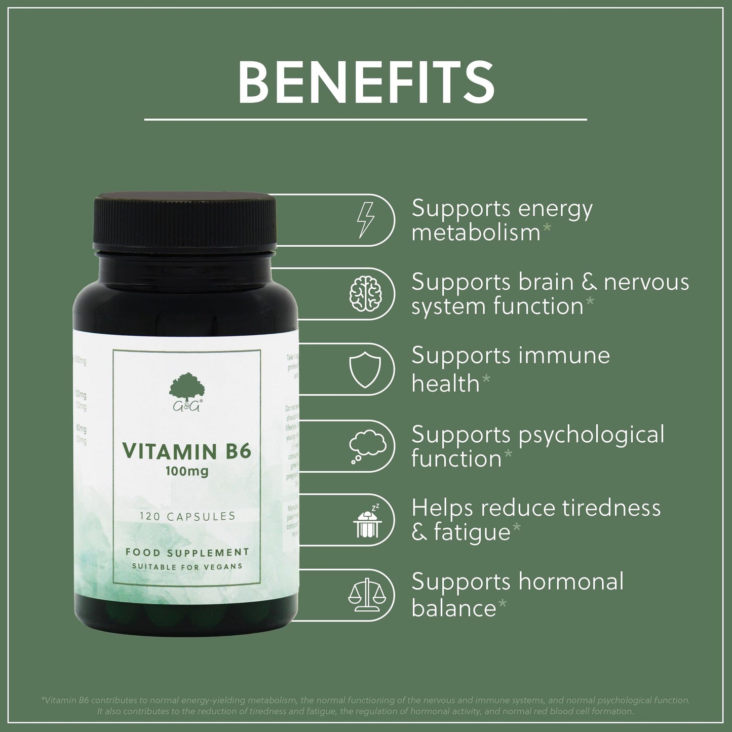 G&G Vitamins Vitamin B6 Pyridoxine HCl 100mg - 120 Vegan Capsules - Non-GMO, Made in The UK