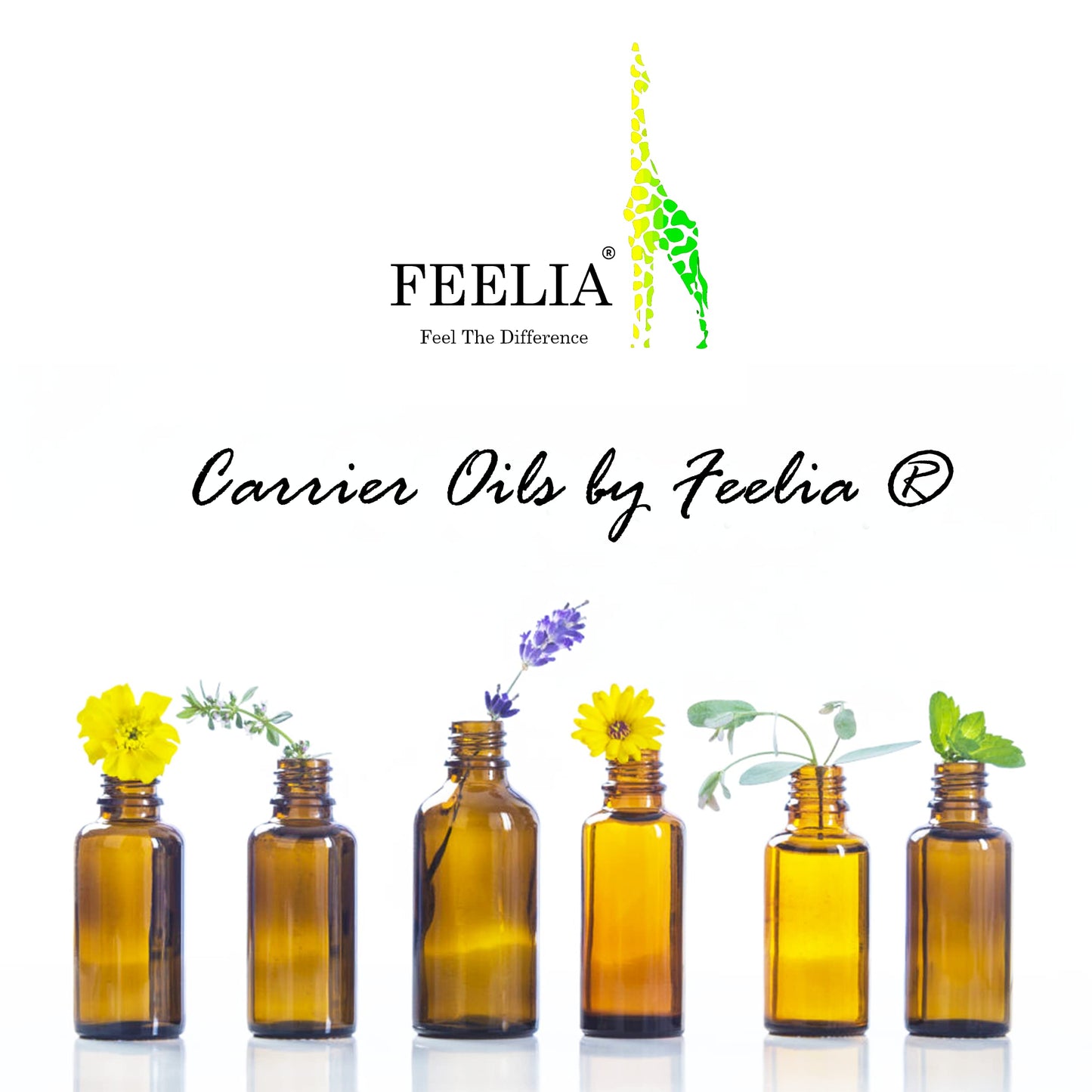 Feelia - Organic Avocado Oil - Cold Pressed, Rich in Vitamins A, D, E & Omega 3, High in Oleic Acid, 100% Pure & Organic - 100ml
