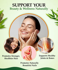 vegishake Organic Silica Extract 10:1| High Strength Naturally Sourced Silica Supplement | for Skin Health and Mobility | Vegan Capsules | from Bamboo Extract | UK Made (250G)