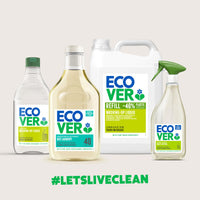 Ecover Hand Wash, Hand Soap, Gentle Hand Cleansing, Fresh Lavender & Aloe Scent, Pack of 1, 1 x 250ml