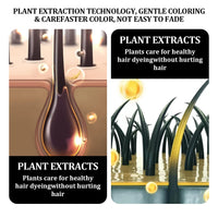 LINXINS Black Hair Shampoo for Natural Hair Colour Instant Black Hair Shampoo Hair Dye Shampoo for Men Women 3 IN 1 Long Lasting and Plant Formula (100ml)