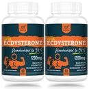 Solavica Beta Ecdysterone Supplement 1200mg Per Serving (60 Capsules)-1 Month Supply-98% Maximum Purity Ecdysterone for Endurance & Muscle Growth (60 Count (Pack of 2))