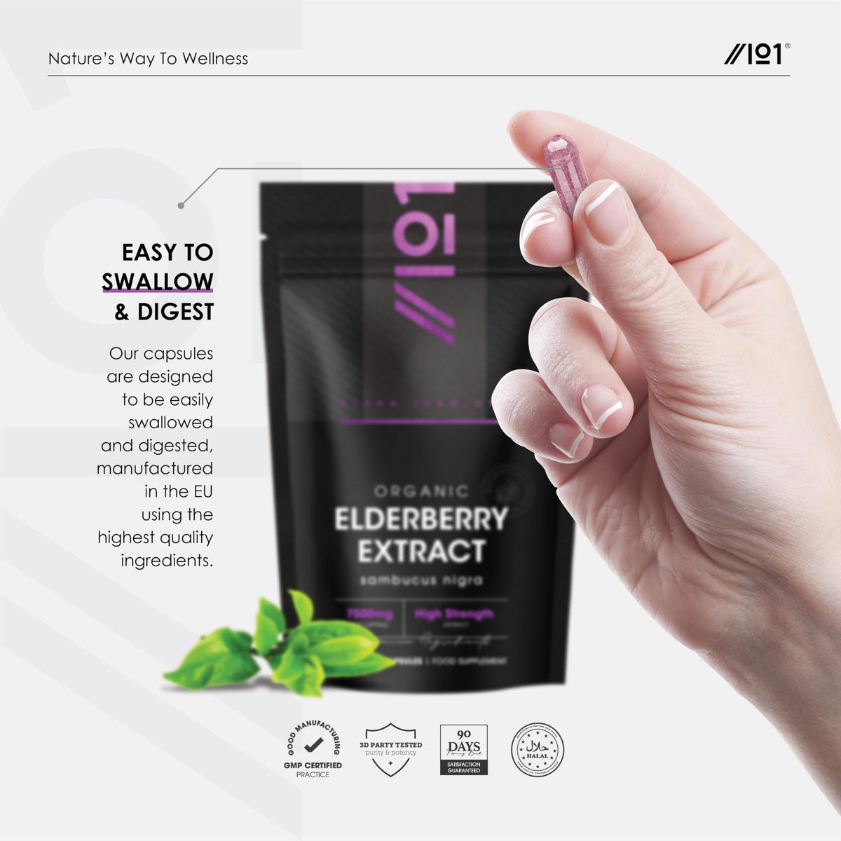 ALPHA01 Organic Elderberry Extract 7500mg – High Strength Black Sambucus Extract – 90 Vegan Capsules (3 Months Supply) – Resealable and Recyclable Pouch – by Alpha01