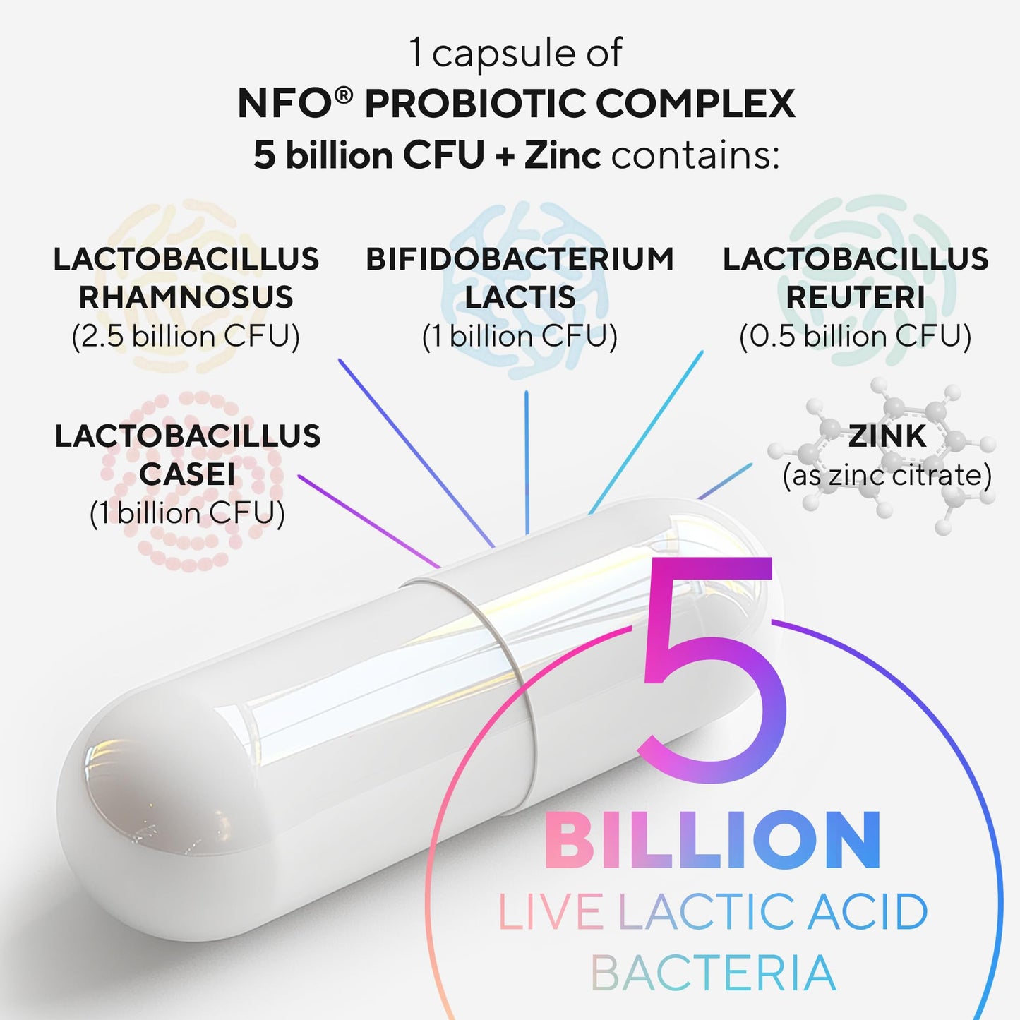 NFO Probiotic Complex 5 billion CFU + Zinc [60 Capsules] Natural High-Dose Complex of Probiotics with Zinc for the Immune System, Skin, Hair, Nails, Teeth, Bones, Made in Finland