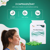 VED Pine Bark Extract 250 mg | 90 Vegan Capsules | High Potency Antioxidant Dietary Supplement |(Pack of 2)