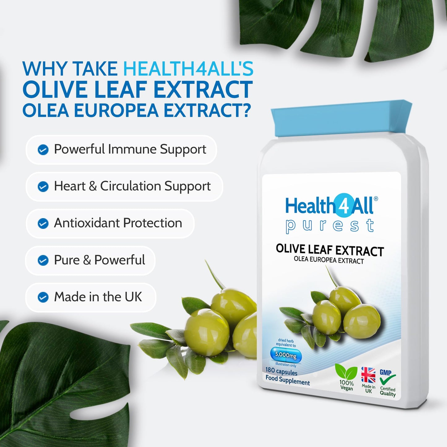 Health4All Olive Leaf Extract - 100mg Oleuropein Per Capsule | 180 Vegan Capsules (6 Month Supply) 20% Standardised 10:1 Extract from Wild European Leaves | No Additives | Immune & Heart Support