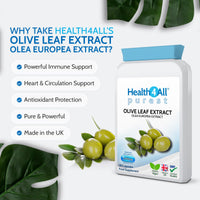 Health4All Olive Leaf Extract - 100mg Oleuropein Per Capsule | 180 Vegan Capsules (6 Month Supply) 20% Standardised 10:1 Extract from Wild European Leaves | No Additives | Immune & Heart Support
