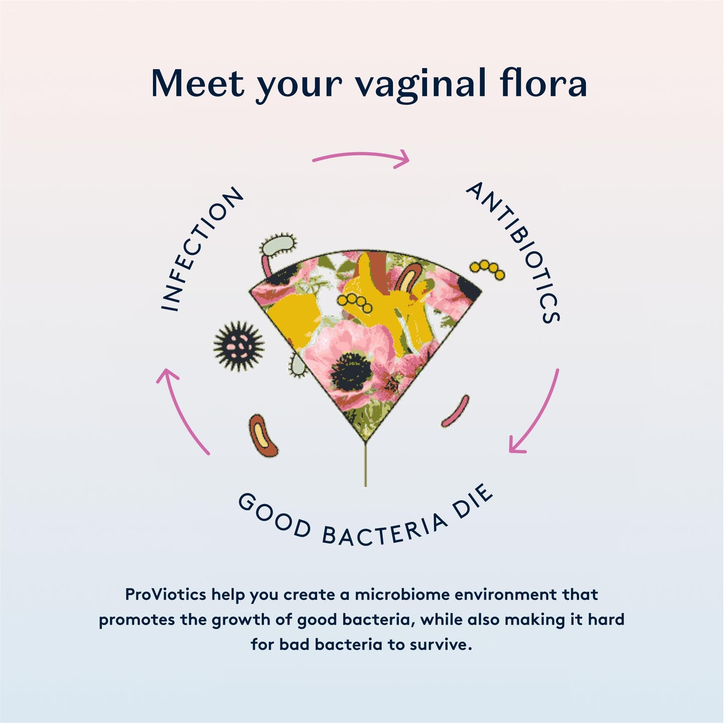 Daye ProViotics, 30 Organic, Vegan Oral Probiotics for Women, Support Healthy Microbiome, 5 Billion Live Cells, Allergen Friendly Probiotic, Organic Ingredients, Capsule Free Supplements