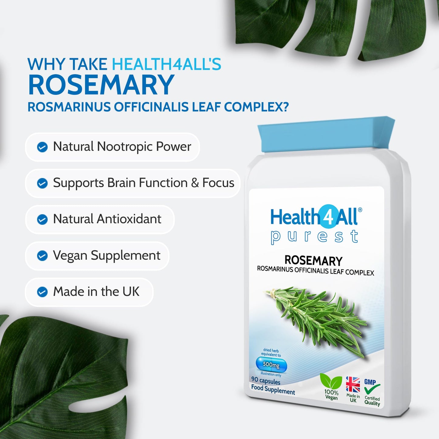 Health4All Rosemary 500mg 90 Capsules 3 Months Supply, Pure Natural Nootropic Supplement for Memory, Focus & Learning, High Strength Rosmarinus Officinalis Capsules (not Tablets nor Oil) | Made in UK
