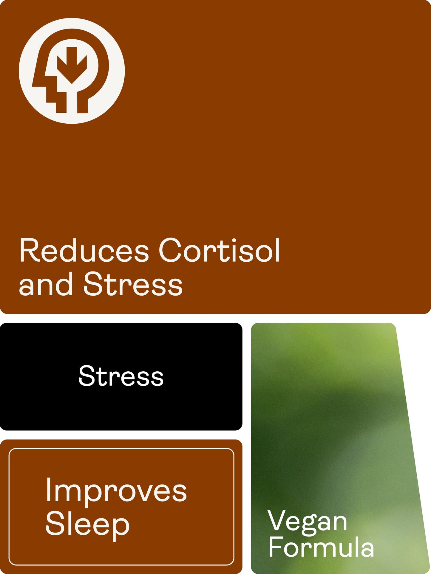 Youth & Earth CHILLAXCINE (Ashwagandha, L-theanine and Saffron) 335mg (60 Capsules)