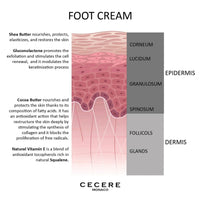 Cecere Laboratories-(75ml/2.5oz) Foot Cream for Cracked Heels and Dry Skin, Shea Butter Foot Cream for Very Dry Feet,Cracked Heel Repair Cream