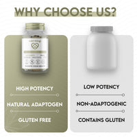 Tiger Milk Mushroom Capsules