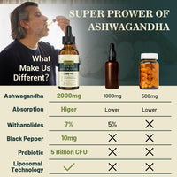 2000mg Liposomal Ashwagandha Liquid Drops, Pure High Strength Ashwagandha Root Extract with 7% Withanolides, 5X Concentration, Absorbed Faster Than Capsules, 60ml (Pack of 3)