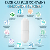300 Billion CFU Probiotics for Digestive Gut & Immune Health, Advanced Strength Probiotics with 12 Diverse Strains + 3 Prebiotics for Women & Men (60 Count (Pack of 1))
