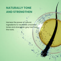 Puradoro Grey Hair Control & Healthy Roots Shampoo – Grey Attack & Blonde Hair Toner, Biotin, Caffeine & Indigofera, Herbal Essence Infused with Essential Oils, For Men & Women