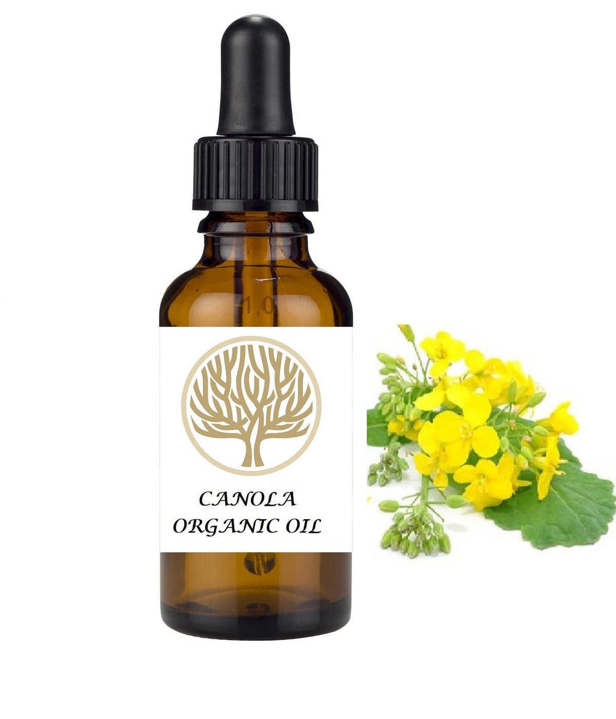EkoFace 100% NATURAL Organic Canola Oil. Very high in minerals, vitamins and is high in GLA acids. (30ml)