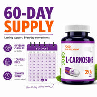 Hepatica L-Carnosine 500mg | Beta-Alanine & Histidine Dipeptide | 60 Vegan Capsules | 2-Month Supply | 3rd Party Lab Tested