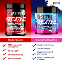 Warrior Flavoured Creatine Monohydrate Powder 500g (150 Servings) – Creatine Powder Drink, Creatine for Performance, Strength & Recovery (Not Creatine Gummies or Tablets) – Savage Strawberry