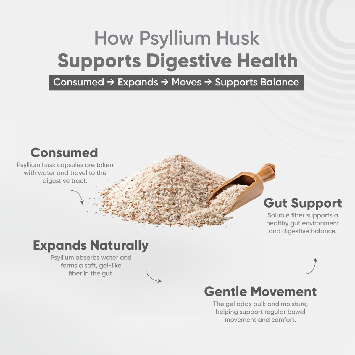 Vitaminnica Because your Health Matters Vitaminnica Vita Husk Pysllium Husk Supplement 1000mg- High Fibre Supplement for Digestive Health, Regularity & Weight Management- Vegan & Gluten-Free - 60 Capsules