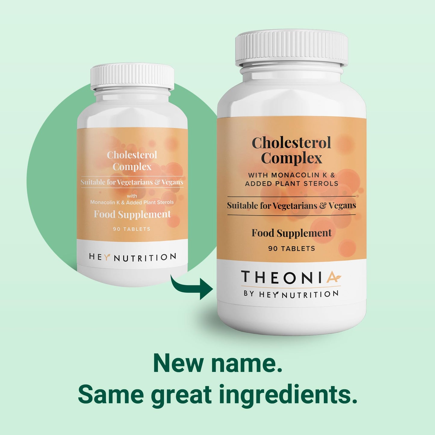 Theonia Cholesterol Complex Supplement - with Plant Sterols & Pine Bark Extract - Advanced Cholesterol Support - 90 Tablets/30 Servings - Non-GMO, Vegan