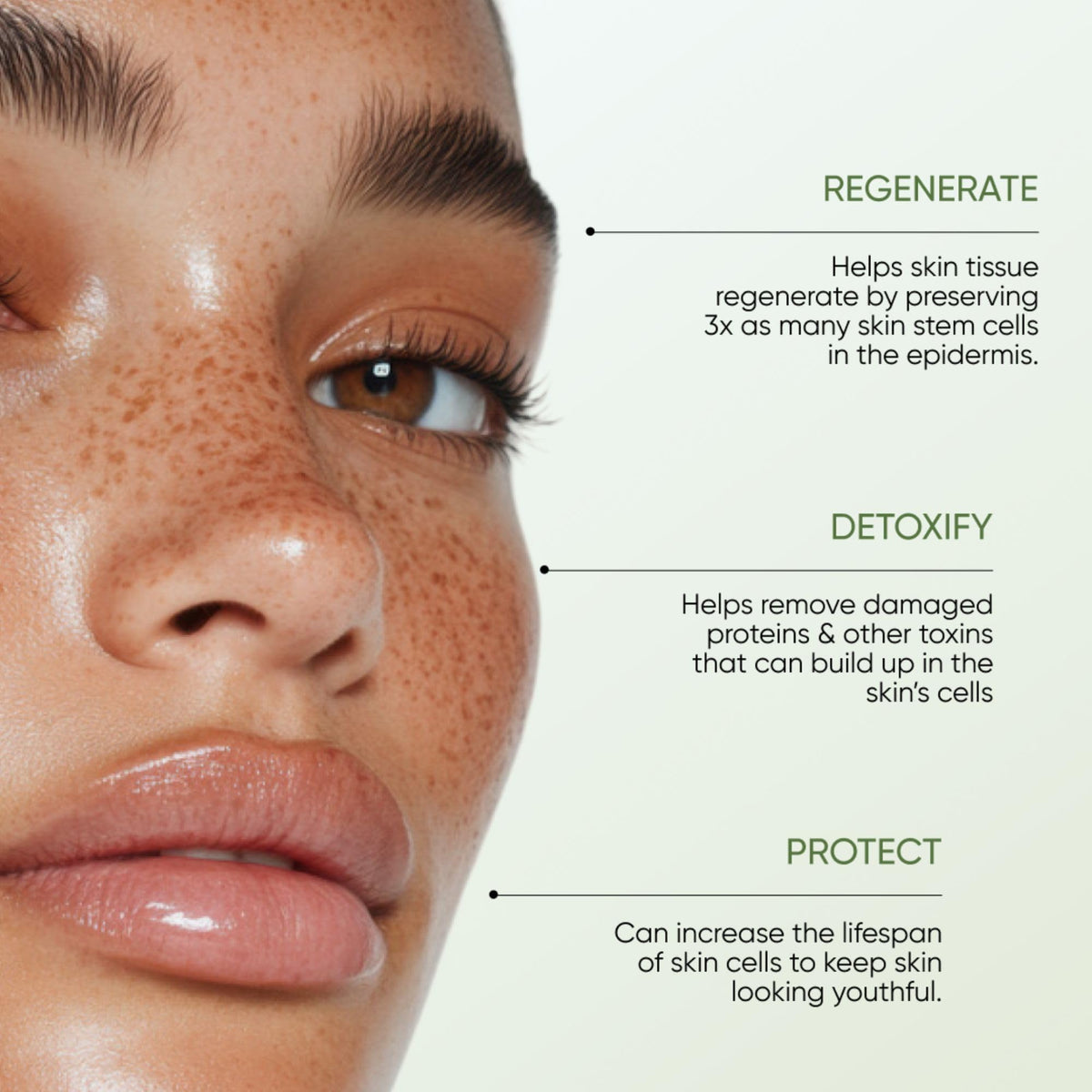 DAISYFACE Brightening Face Exfoliator 30ml – Gentle Exfoliation with Daisy Stem Cells, Bamboo Powder & AHAs – For Smooth, Radiant Skin