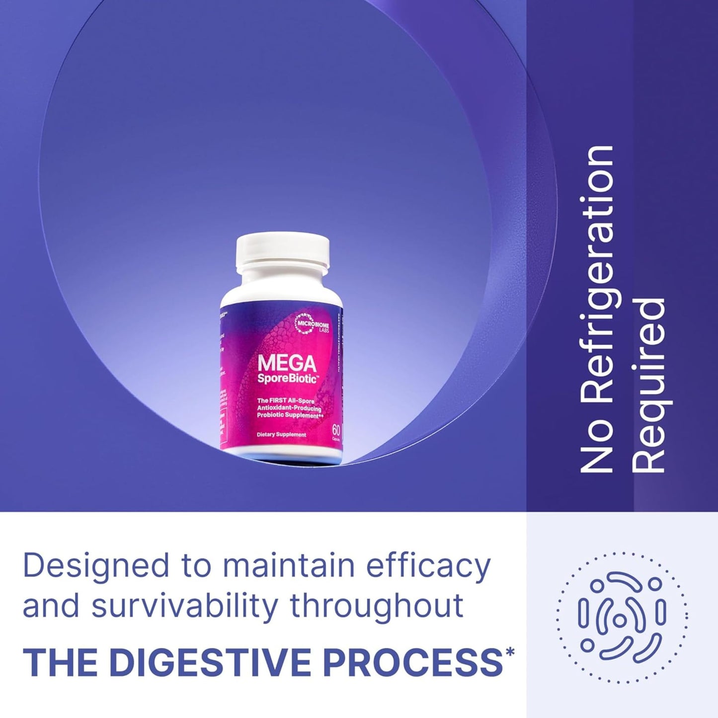 Microbiome Labs MegaSporeBiotic Spores Only - Spore Based Probiotic Daily Supplement to Boost Akkermansia, 4 Bacillus Strains for Gut Health Support for Men & Women, Vegan Probiotics (60 Capsules)