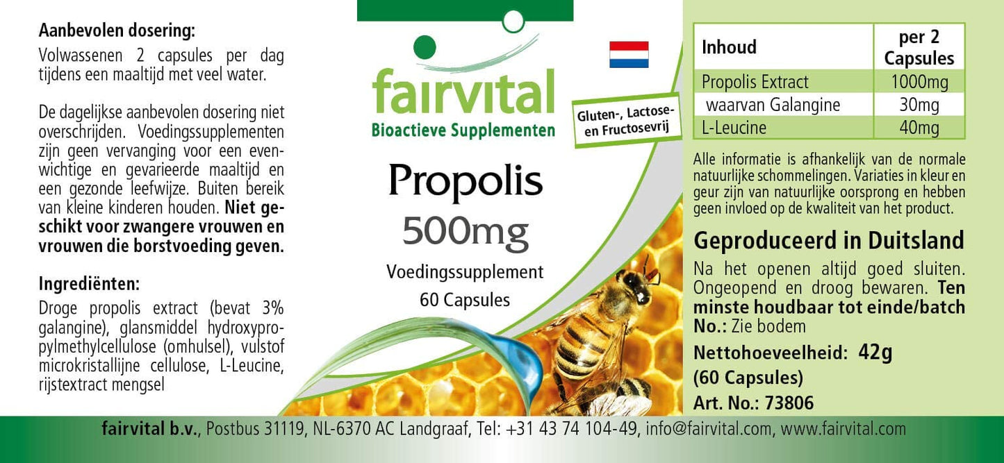 Fairvital | Bee propolis capsules - 500mg - HIGH DOSAGE - 3 x 60 capsules