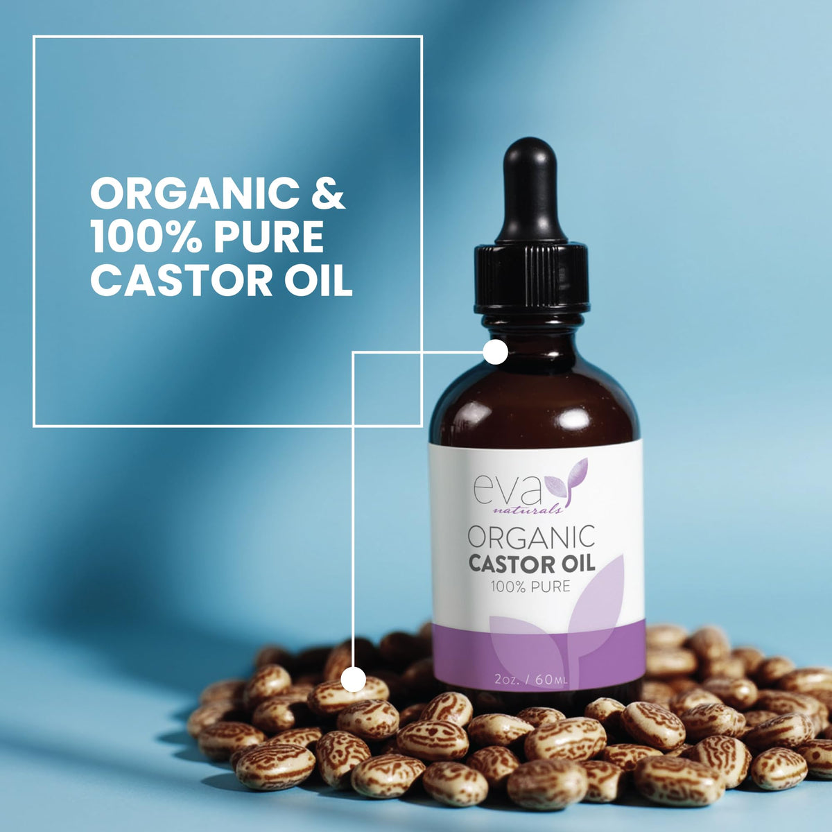 Eva Naturals Organic Castor Oil for Eyelashes, Eyebrows & Hair Growth - Cold Pressed Hexane Free - 100% Pure Oil for Skin Nails Lashes - Nourishes & Strengthens - Includes Mascara Kit & Brushes, 60ml