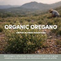 AROMAVITA Wild Oregano Oil Softgels 86–90% Carvacrol | Organic Oil of Oregano Capsules | No Strong Taste | Greek Oregano | 60 Softgels