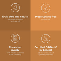 Aroma Labs ORGANIC - MEADOWSWEET Infused Oil - 50mL - 100% Pure, Natural and Cosmos Certified - AROMA LABS (French Brand)
