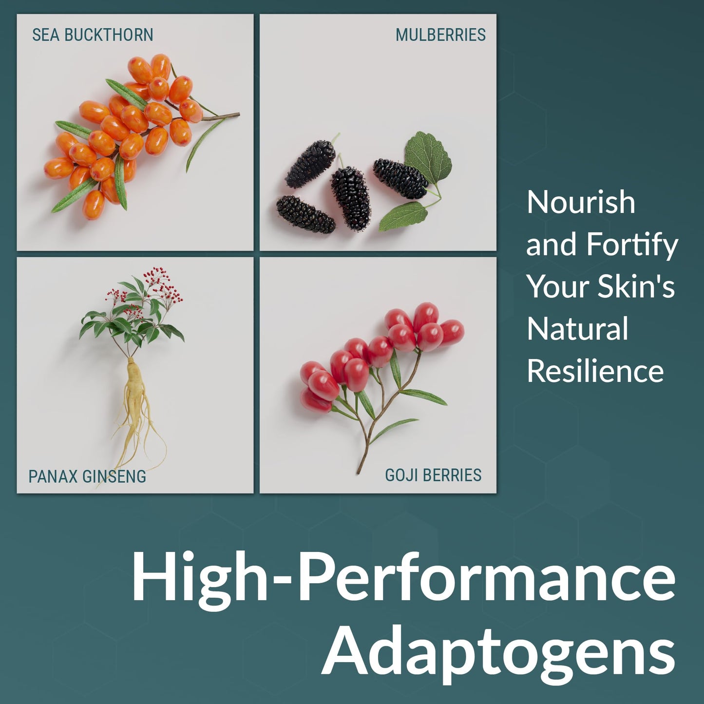 Adaptogenique Daily Radiance Face Serum with Vitamin C & Hyaluronic Acid. Hydrates, Brightens, & Fights Aging. Protects from Sun Damage. With Botanical Extracts, Adaptogens, and Nourishing Oils.