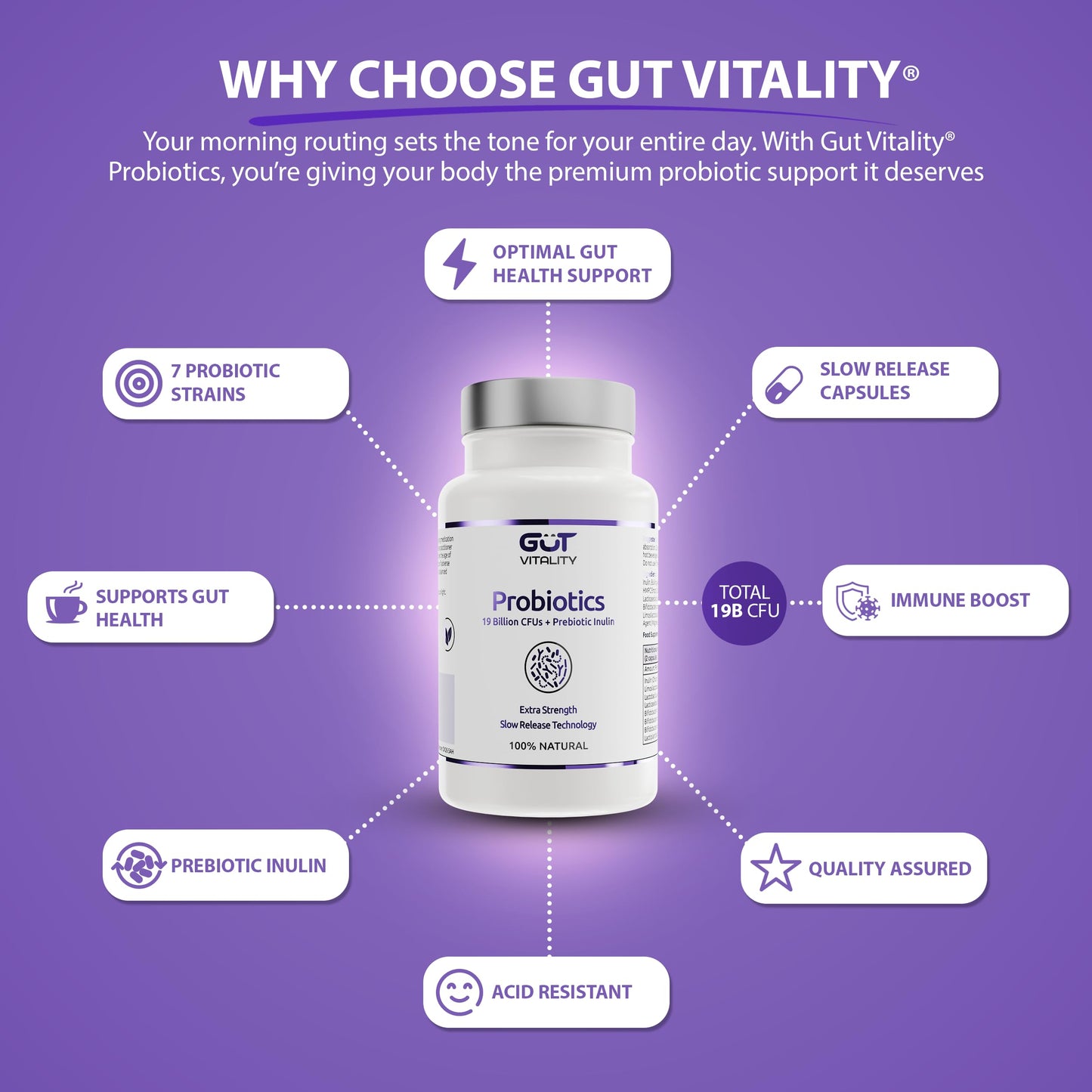Gut Vitality Probiotic for Gut Health | 19 Billion CFU | 7 Strains for Bloating Relief & Digestive Support | 60 Delayed-Release Vegan Capsules | with Prebiotic Inulin
