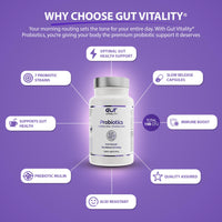 Gut Vitality Probiotic for Gut Health | 19 Billion CFU | 7 Strains for Bloating Relief & Digestive Support | 60 Delayed-Release Vegan Capsules | with Prebiotic Inulin
