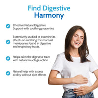Health4All Slippery Elm 300mg 90 Capsules, Digestive Health & Acid Reflux Support. Vegan Digestive Support Supplement, Ulmus Rubra Inner Bark Powder, Stomach Soothe, Gluten Free | Made in UK