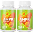 Mechicoco Liposomal AMPK Activator Capsules 2000 mg(2 Package),6-in-1 Formula with Quercetin Dihydrate, Resveratrol and Cinnamon Bark, for Antioxidant Support and Cellular Regulation, NO Soy,NO Gluten