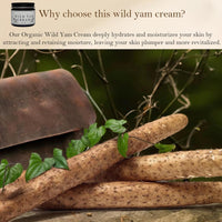 Generic 2PCS Wild Yam Skin Cream, Wild Yam Cream, 60ml Wild Yam Cream Organic for Natural Balance, Natural Relief for Menopause Dry Skin, Menopause Botanical Balancing Body Cream(60g/2 oz)