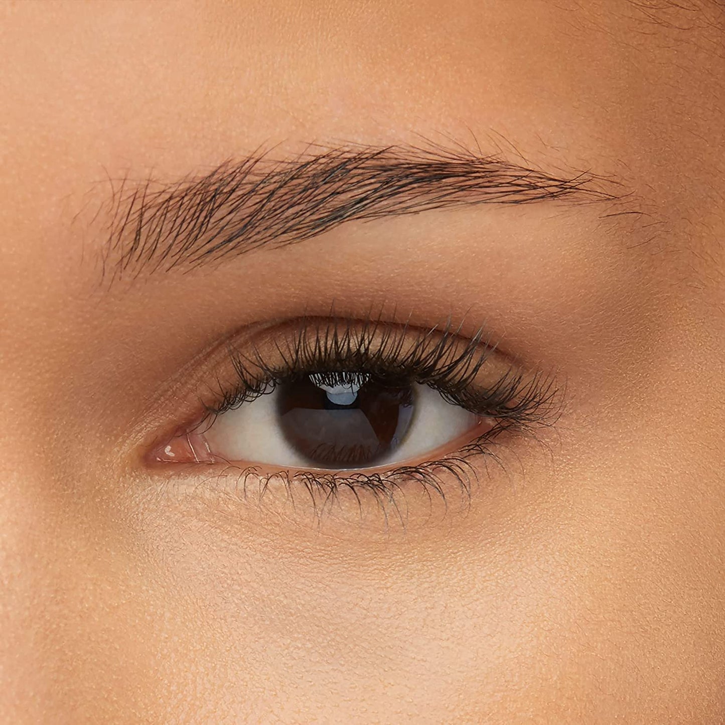 Maybelline Express Brow Duo Eyebrow Filling, Natural Looking 2-In-1 Pencil Pen Plus Filling Powder, Dark Brown, 1 Count (Pack of 1)