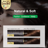 Sanotint Classic Hair Color Imported From Italy (125 ml) (Light Natural Brown)