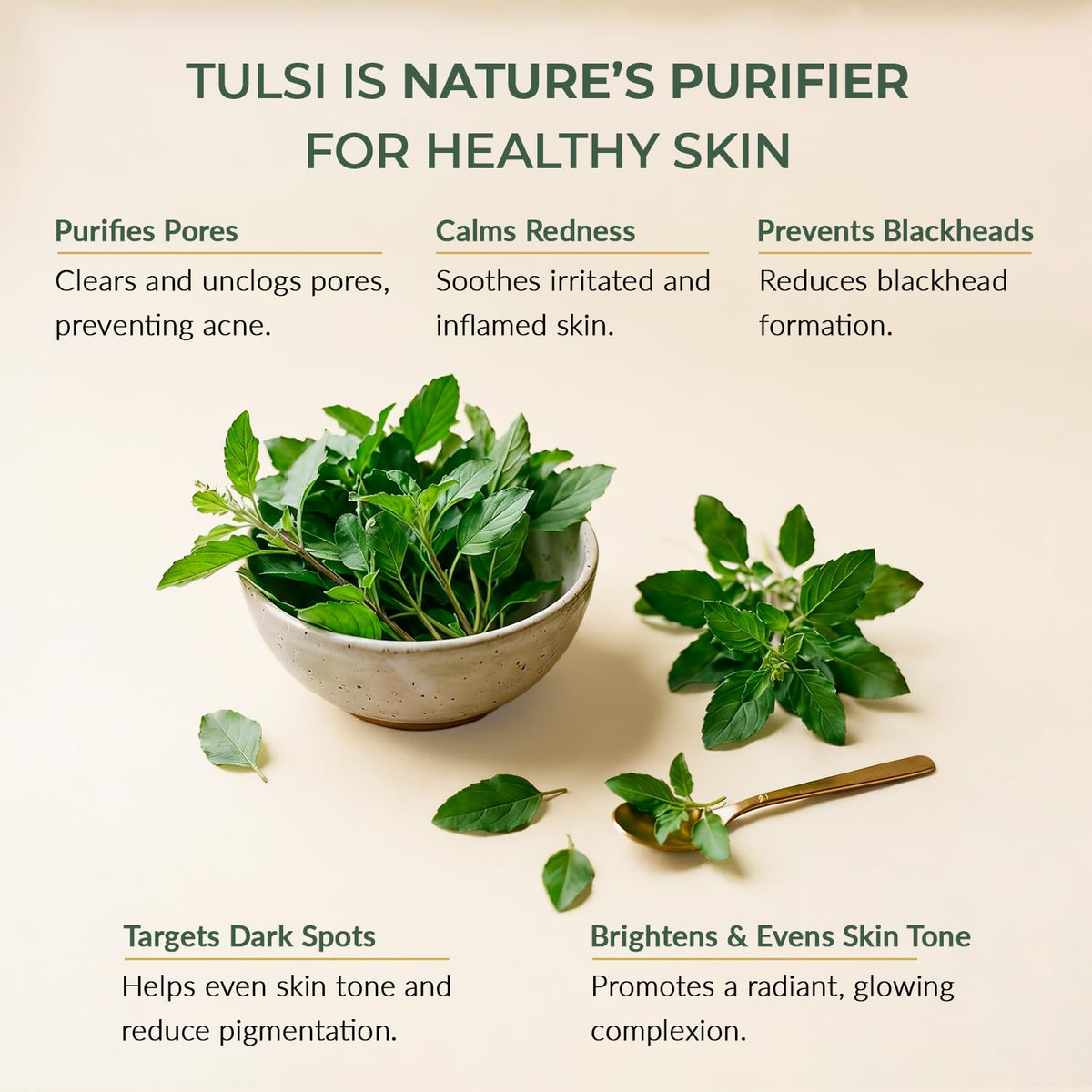 SPAVED SpaVed Tulsi (Holy Basil) Face Cream 50g – Anti-Ageing Vegan Night Cream & Face Moisturiser with Shea Butter, Aloe Vera & Vitamin E | Supports Skin Barrier Hydration for Dry & Sensitive Skin