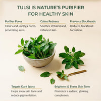 SPAVED SpaVed Tulsi (Holy Basil) Face Cream 50g – Anti-Ageing Vegan Night Cream & Face Moisturiser with Shea Butter, Aloe Vera & Vitamin E | Supports Skin Barrier Hydration for Dry & Sensitive Skin