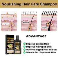 Ginger Shampoo, Ginger Hair Growth Shampoo, Anti Hair Loss Shampoo, Natural Organic Ginger Shampoo Promotes Hair Growth, Anti-dandruff & Anti-itching Ginger Shampoo for Hair Loss Women Men (1pcs)