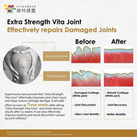 Vita Green Joint Health Capsules, Natural Chinese Herbal Knee Nutritional Supplements Treatment Relief from Discomfort Stiffness, Extra Strength Joint Mobility and Flexibility – 90 Count