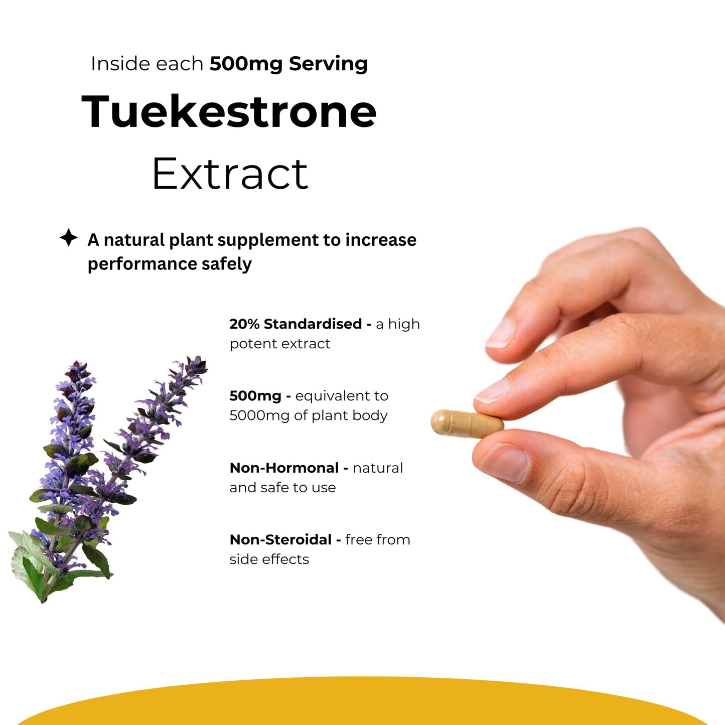 Turkesterone Supplement 5000mg - 120 Caps High Strength - Standardized to 20% Ajuga Turkestanica Extract - for Muscle and Strength - Pure Extract No Additives Or Filler